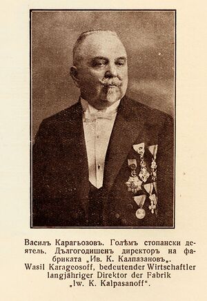 Vasil-karagiozov.jpg