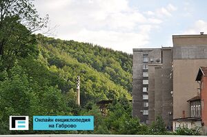 Borovo.jpg